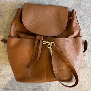 Cuyana Large Pebbled Leather Backpack in Brown